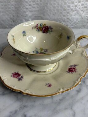 Hutschenreuther Bavaria Floral Tea Cup Saucer Ivory Pink Gold